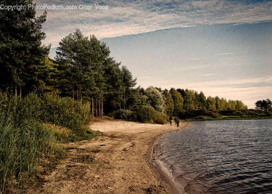 Dirt Road, Gravel, Road, Forest, Jungle