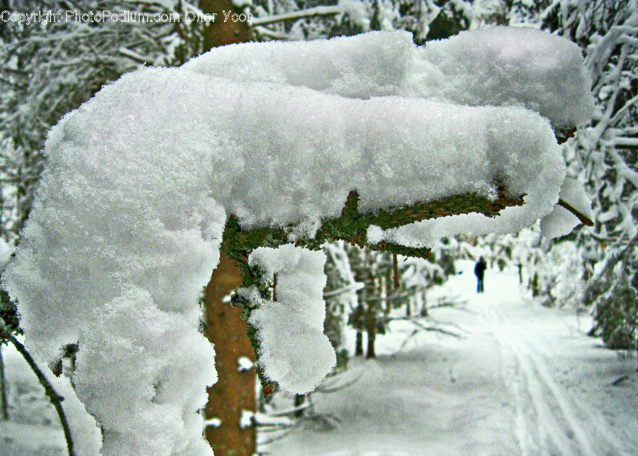 Frost, Ice, Outdoors, Snow, Fence