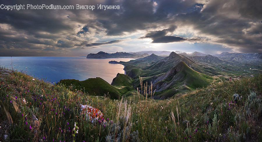 Landscape, Nature, Scenery, Field, Grass