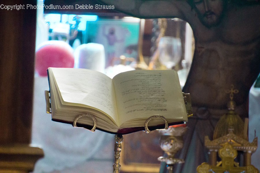 People, Person, Human, Cup, Book