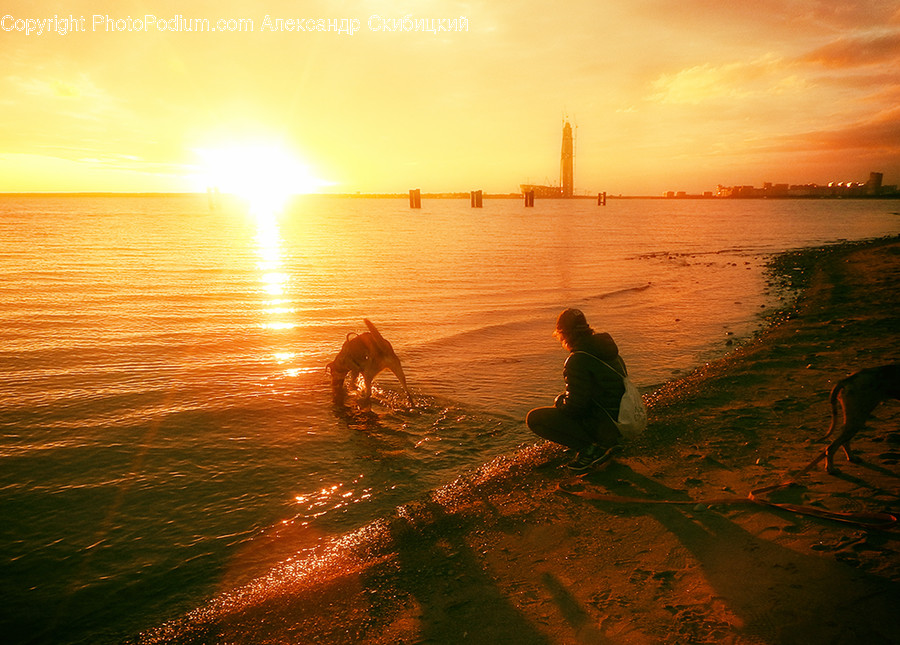 People, Person, Human, Dawn, Dusk