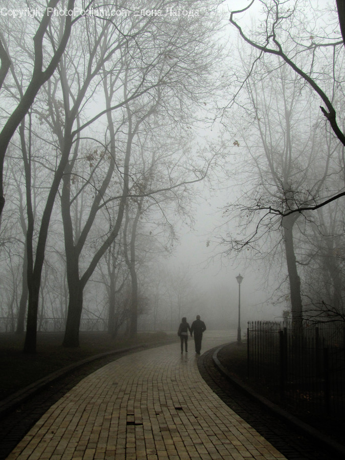 Boardwalk, Deck, Path, Sidewalk, Walkway