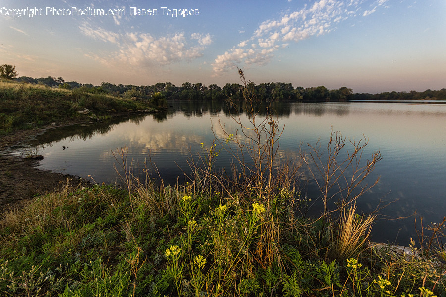 Field, Grass, Grassland, Plant, Lake