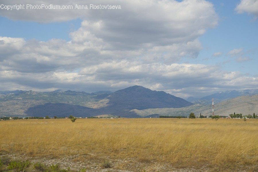 Field, Grass, Grassland, Land, Outdoors