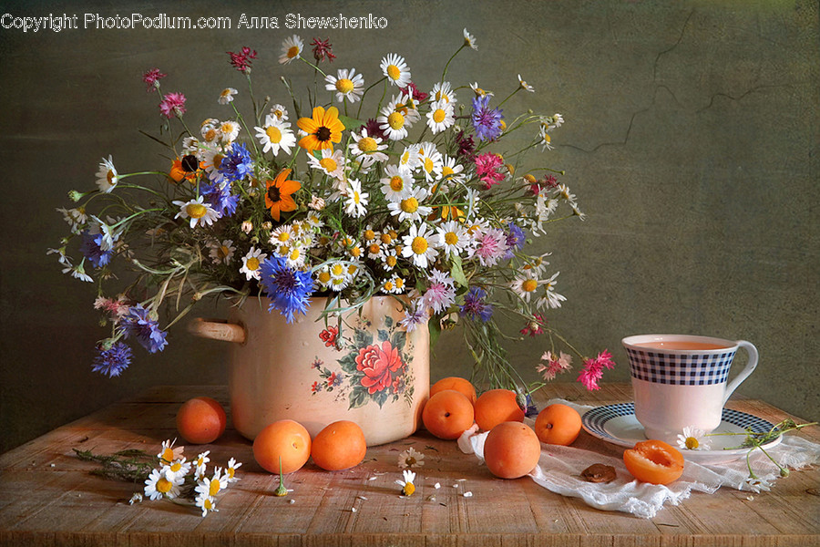 Glass, Goblet, Plant, Potted Plant, Daisies
