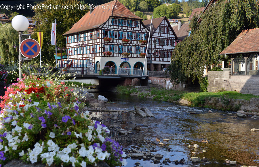Bridge, Blossom, Flora, Flower, Geranium
