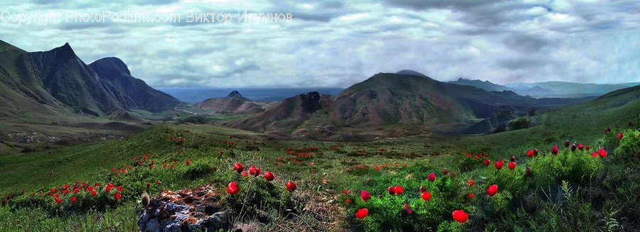 Mountain, Outdoors, Valley, Agaric, Amanita