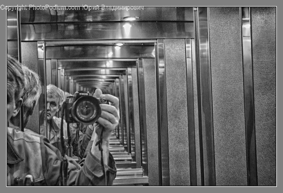 Elevator, Animal, Subway, Train, Train Station