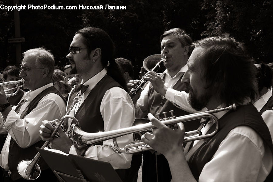 People, Person, Human, Brass Section, Horn, Musical Instrument, Trumpet