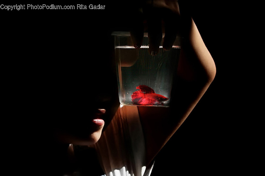 Candle, Glass, Alcohol, Beverage, Red Wine