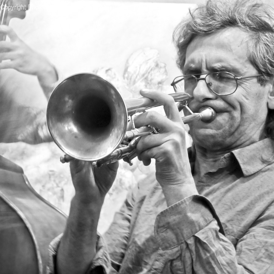 People, Person, Human, Brass Section, Horn