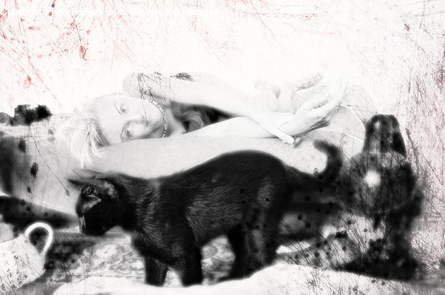 Art, Drawing, Animal, Person, Portrait