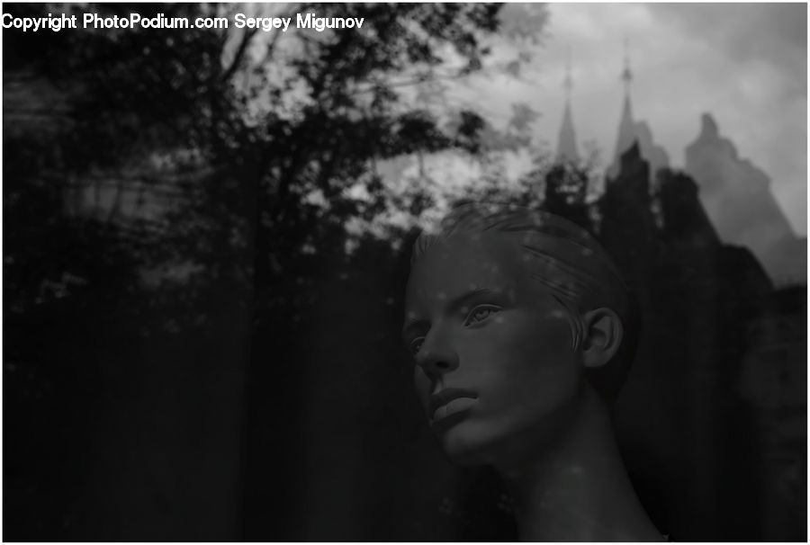 People, Person, Human, Fog, Mist, Outdoors, Head
