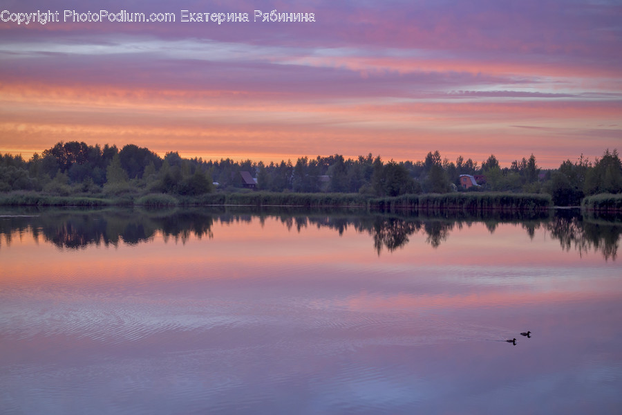 Dawn, Dusk, Red Sky, Sky, Sunrise