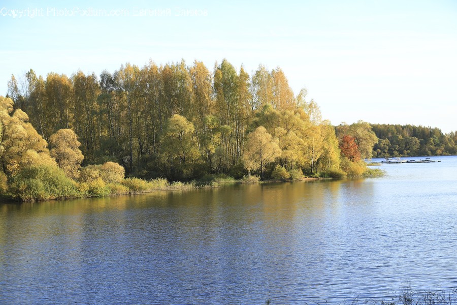 Lake, Outdoors, Water, Conifer, Fir
