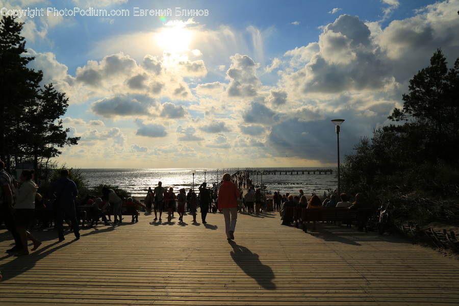 Boardwalk, Deck, Path, Sidewalk, Walkway