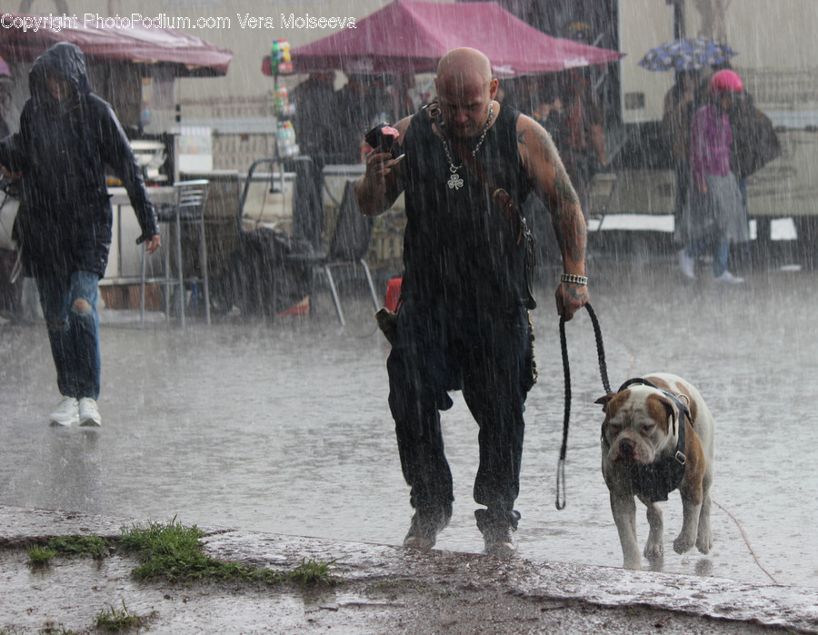 People, Person, Human, Animal, Boxer