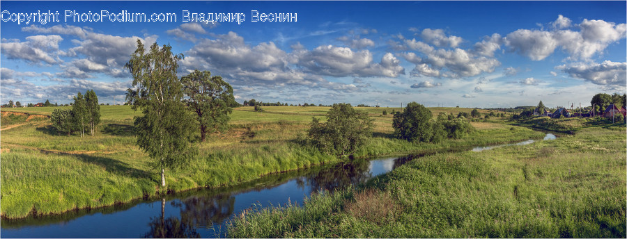Field, Grass, Grassland, Land, Outdoors