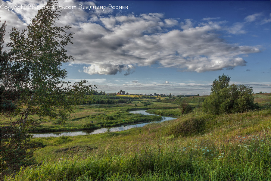 Field, Grass, Grassland, Land, Outdoors