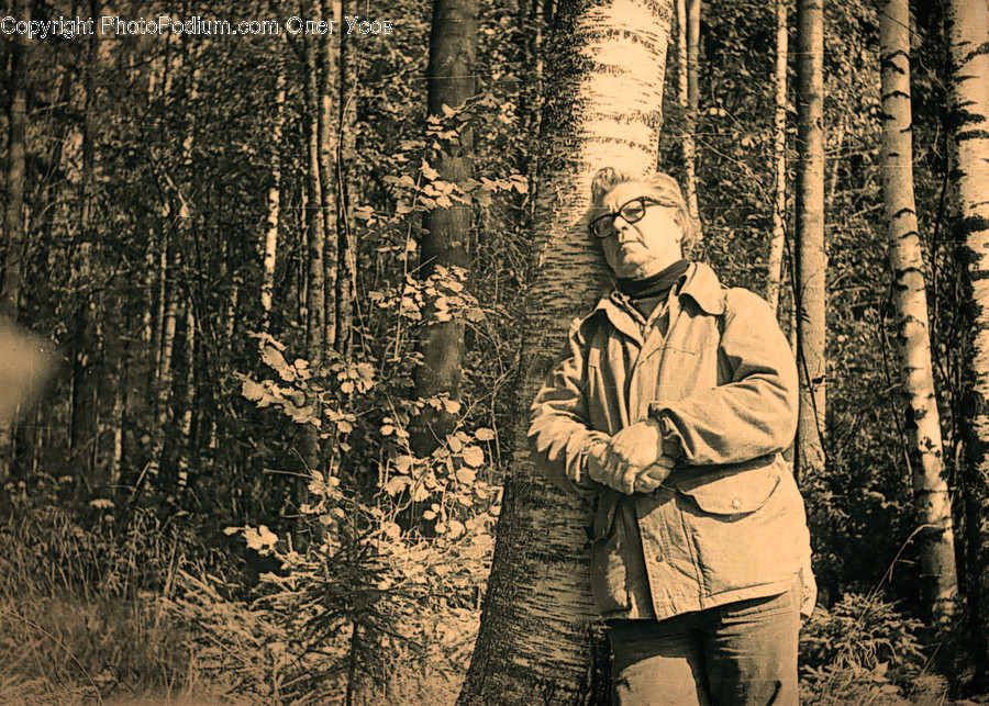 People, Person, Human, Forest, Vegetation