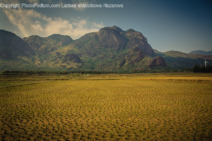 Field, Grass, Grassland, Land, Outdoors