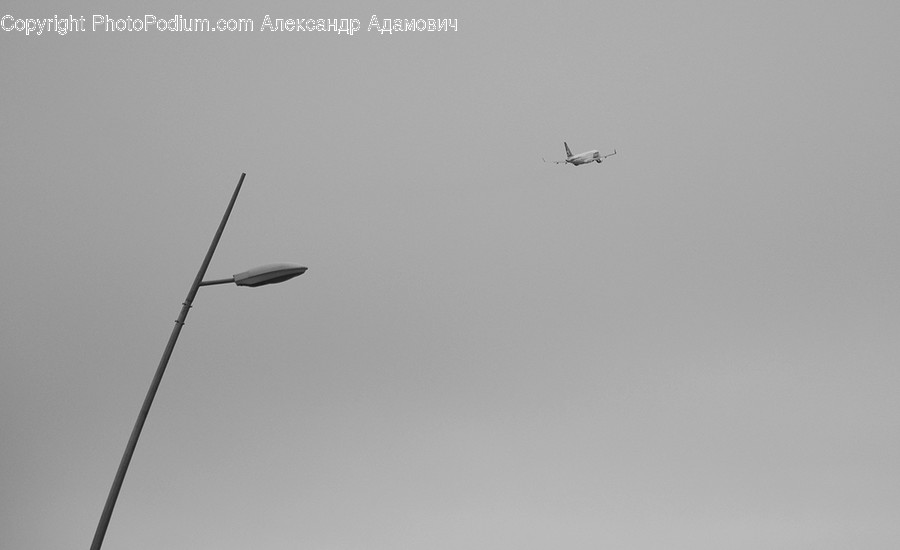 Aircraft, Airplane, Glider, Gliding, Flying