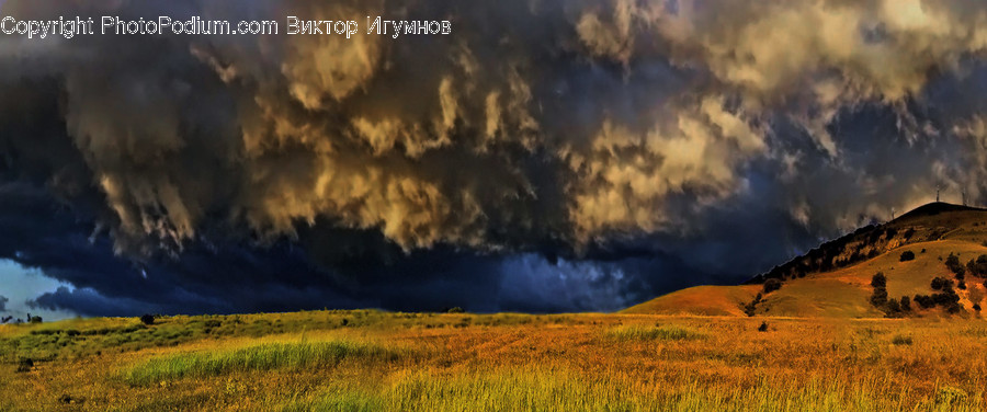 Field, Grass, Grassland, Land, Outdoors