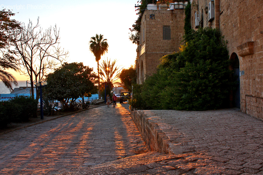 Cobblestone, Pavement, Walkway, Brick, Boardwalk