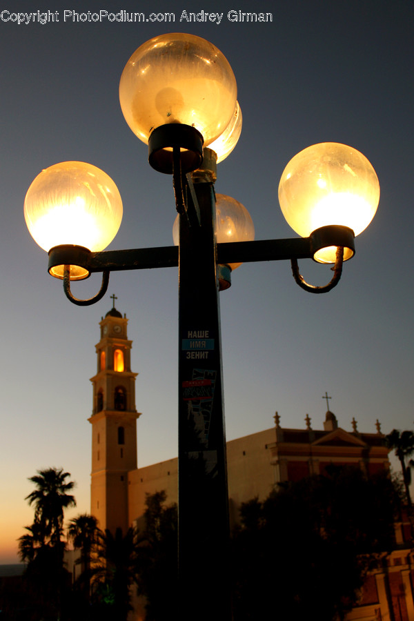 Palm Tree, Plant, Tree, Lamp Post, Pole