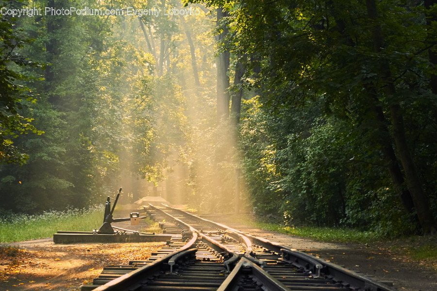 Rail, Train Track, Dirt Road, Gravel, Road