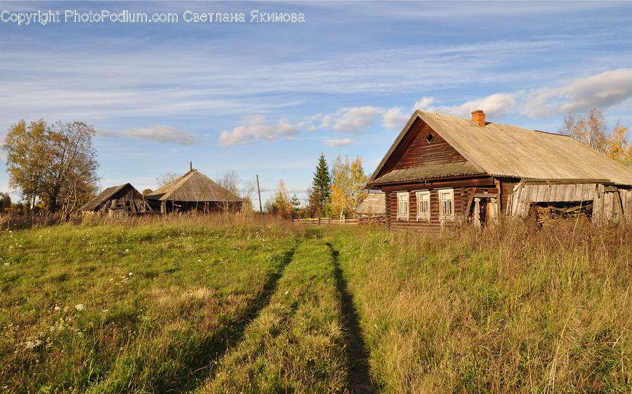 Building, Cottage, Housing, Field, Grass