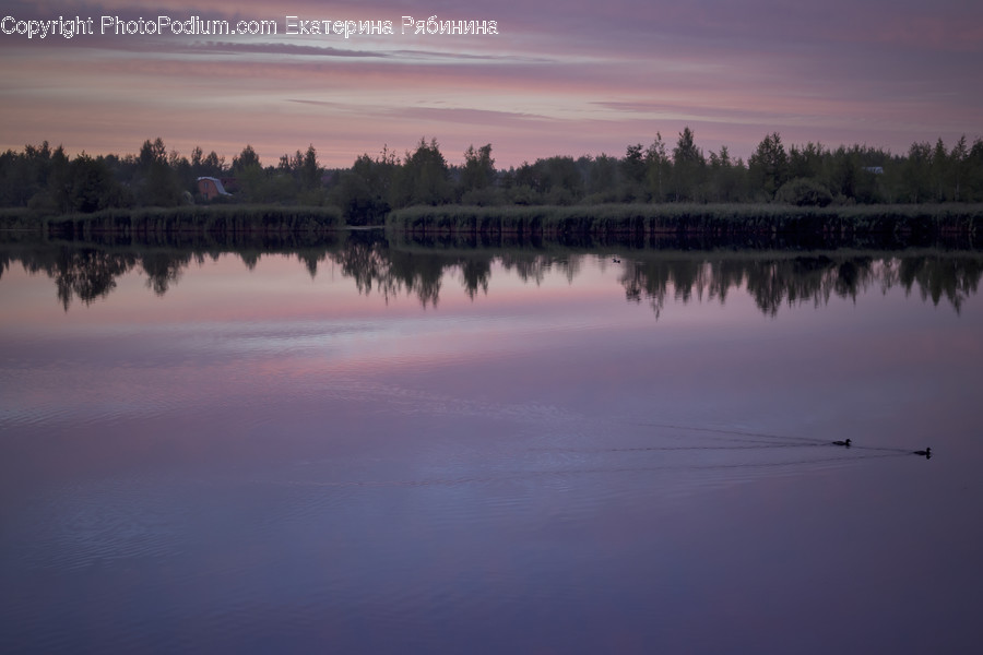 Dawn, Dusk, Red Sky, Sky, Sunrise