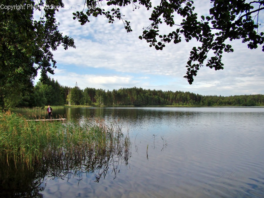 Lake, Outdoors, Water, Pond, Grass
