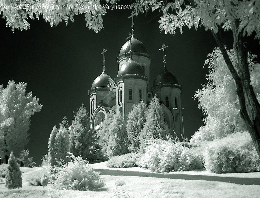 Architecture, Church, Worship, Cathedral, Plant