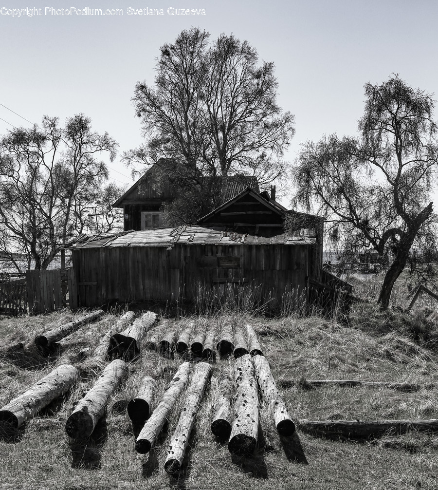 Tomb, Cabin, Hut, Rural, Shack