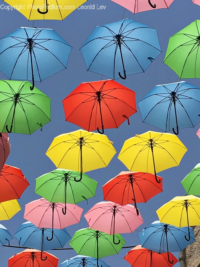 Umbrella