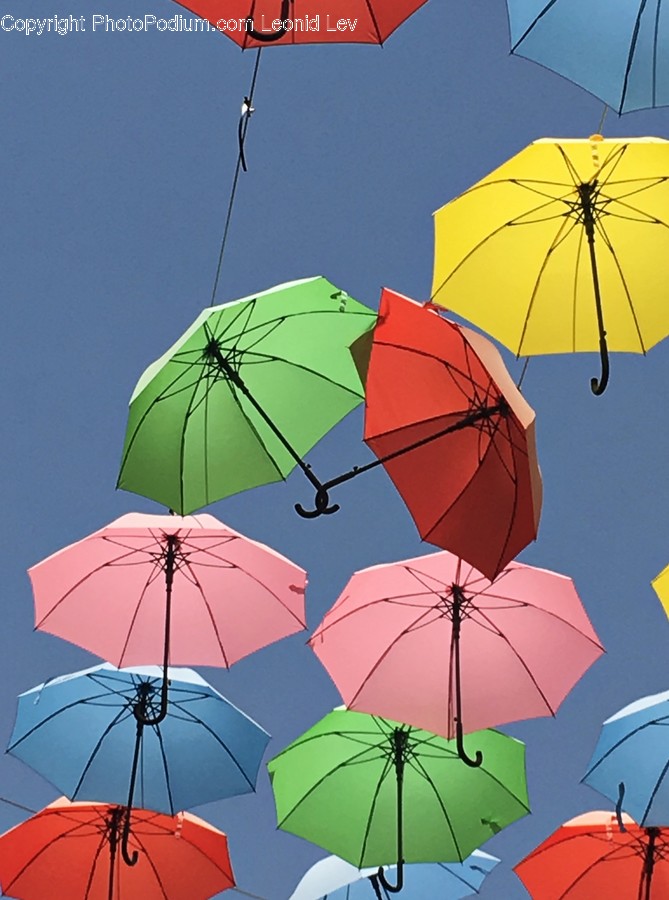 Umbrella
