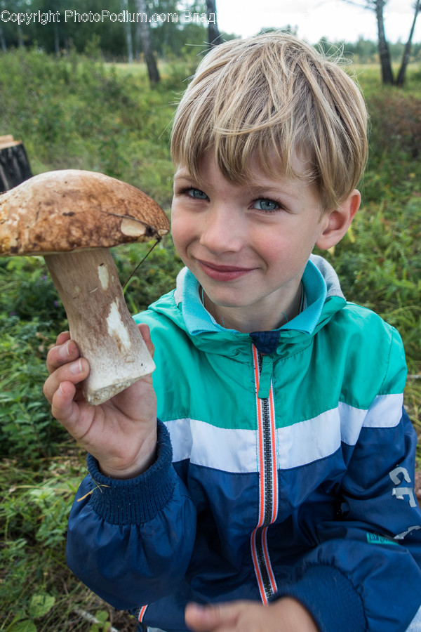 Human, People, Person, Agaric, Amanita