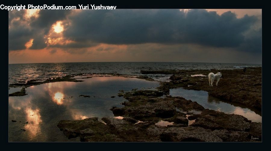Cloud, Cumulus, Sky, Azure Sky, Outdoors, Coast, Sea