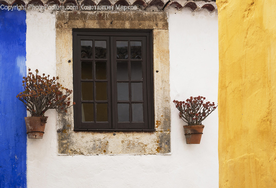 Plant, Potted Plant, Window, Pot, Pottery