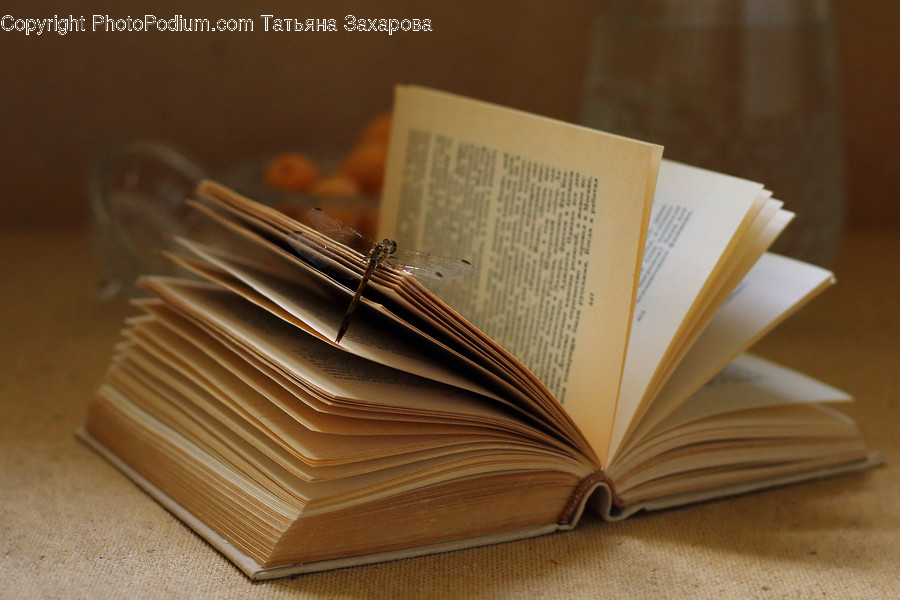 Book, Text, Diary