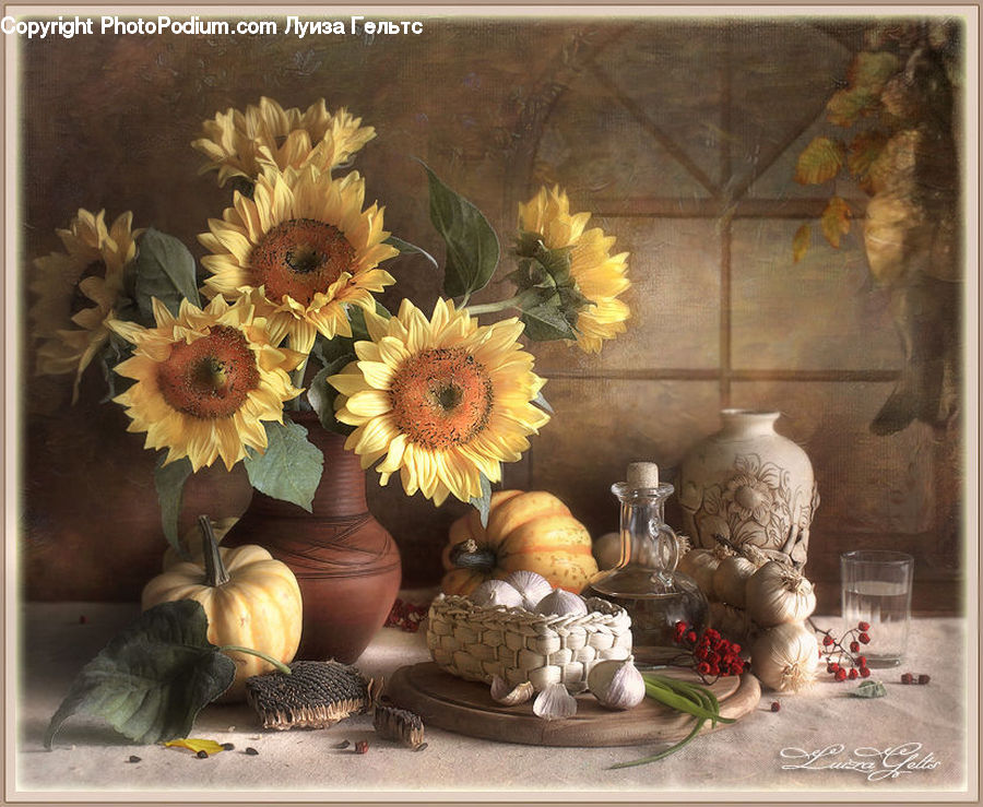 Plant, Potted Plant, Paper, Glass, Goblet, Floral Design, Flower