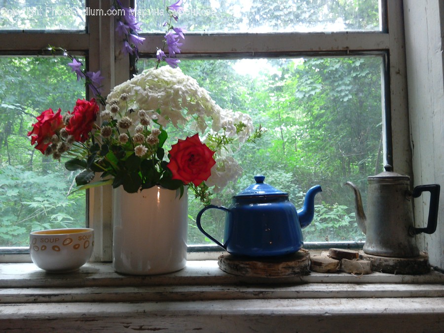 Blossom, Flower, Plant, Rose, Potted Plant