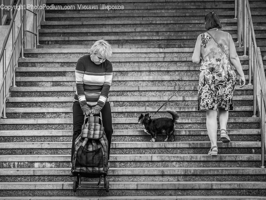 Human, People, Person, Brick, Animal
