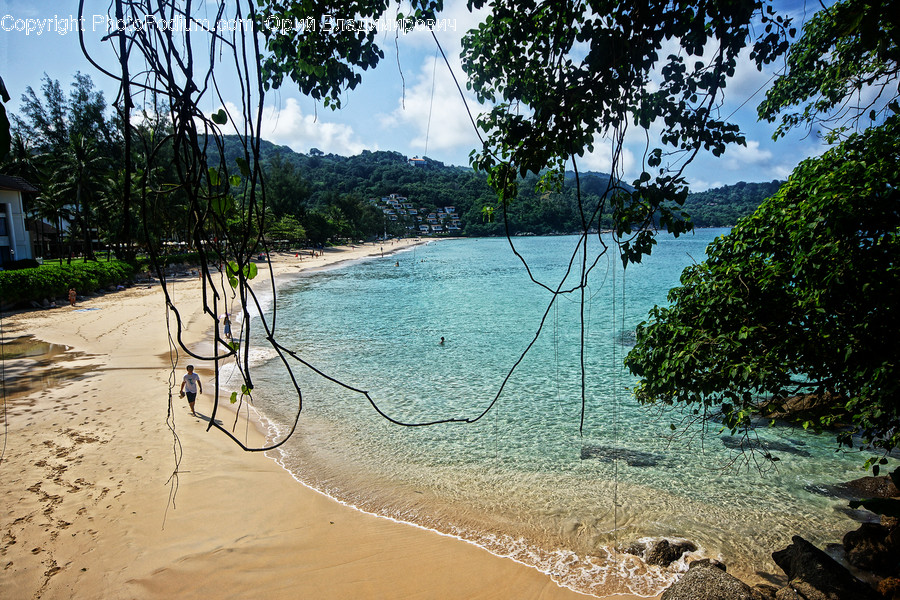 Beach, Coast, Outdoors, Sea, Water