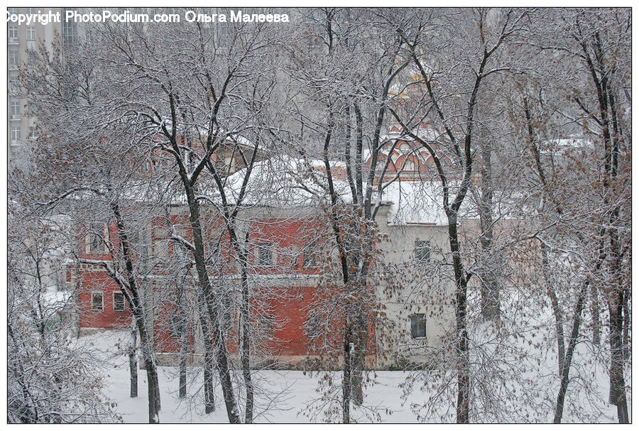 Blizzard, Outdoors, Snow, Weather, Winter, Ice, Brick