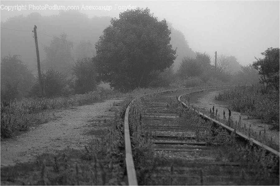 Fog, Pollution, Smog, Smoke, Rail