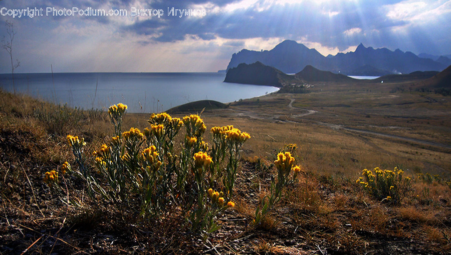 Mountain, Mountain Range, Outdoors, Mesa, Field