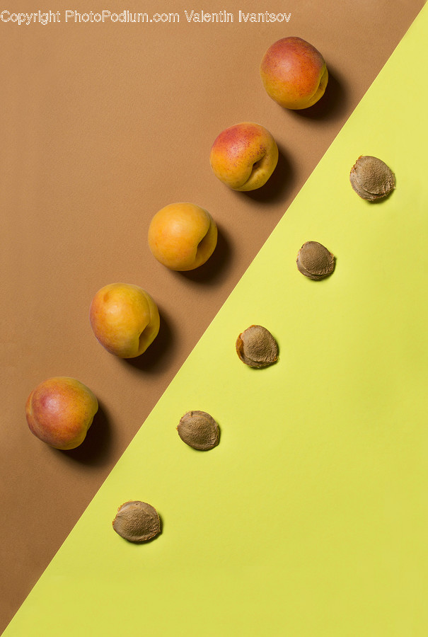 Citrus Fruit, Fruit, Orange, Lemon, Bean