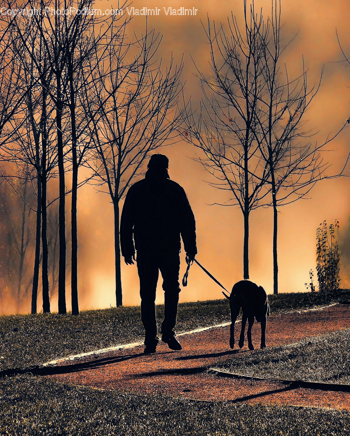 People, Person, Human, Silhouette, Soil